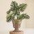 Samoan Seas Seagrass Planter