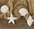 Shells Shower Curtain Hooks - Set of 12