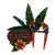 Tropical Bird Greeting Wall Art