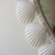 Seashell Array Oval Wall Mirror