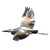 Blue Heron Flying Wall Art