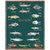 Sportsfish of Florida Blanket