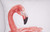 Pink Flamingo Indoor/Outdoor Pillow - Right Facing