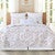 Abundant Shells Quilt Bed Set - King