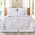 Abundant Shells Quilt Bed Set - Twin