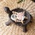 Sea Turtle Decorative Dish