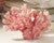 Coral Reef Pink Sculpture