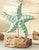 Starfish Driftwood Sculpture