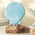 Scallop Driftwood Sculpture