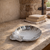 Baroque Pewter Shell Tray II