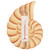 Brown Nautilus Shell Small Window Thermometer