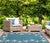 Carolina Starfish Aqua Indoor/Outdoor Rug - 5 x 8