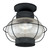 Chatham Black Outdoor Ceiling Light