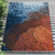 Fire Coral Indoor/Outdoor Rug - 3 x 5 - OUT OF STOCK UNTIL 08/06/2025