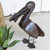Fishing Pelican Statuary