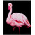 Flamingo 3 Print