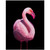 Flamingo 5 Print