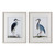 Graceful Beach Birds Framed Prints - Set of 2
