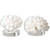 Hard Coral Sculptures - Set of 2