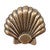 Large Seashell Cabinet Knobs - Set of 2