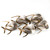 Lookdown Fish School of 5 Wall Decor - Right