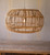 Masika Reef Pendant Light