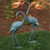 Medium Garden Crane Pair