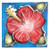 Mini Square Hibiscus Metal Wall Art