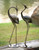 Modern Herons Statuary - Set of 2