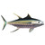 Moorean Tuna II Metal Wall Art - OUT OF STOCK UNTIL 06/30/2025