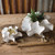 Natural Ceramic Planters - Set of 2