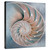 Nautilus in Blue I Gallery Wrapped Canvas