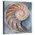 Nautilus in Blue II Gallery Wrapped Canvas
