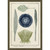 Ocean Journal II Framed Print