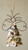 Oyster Shell Angels - Set of 6