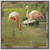 Painterly Flamingo II Framed Print