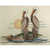 Perching Pelicans Wall Hanging - OUT OF STOCK UNTIL 06/30/2025