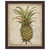 Pineapple Study I Framed Print
