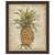 Pineapple Study II Framed Print