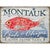 Red Snapper Personalized Sign - 23 x 17