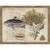 Sea Collector III Framed Print