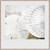 Seashell Medley II Framed Print