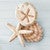Seashell Wood Wall Art