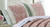 Seaside Garden Standard Sham