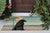 Shady Pup Indoor/Outdoor Rug - 1 x 2