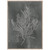Silver Foil Algae III on Black Framed Print
