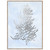Silver Foil Algae IV on Blue Framed Print