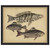 Species of Fish I Framed Print