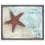 Starfish Framed Canvas