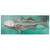 Striped Bass Back Lit Wall Decor